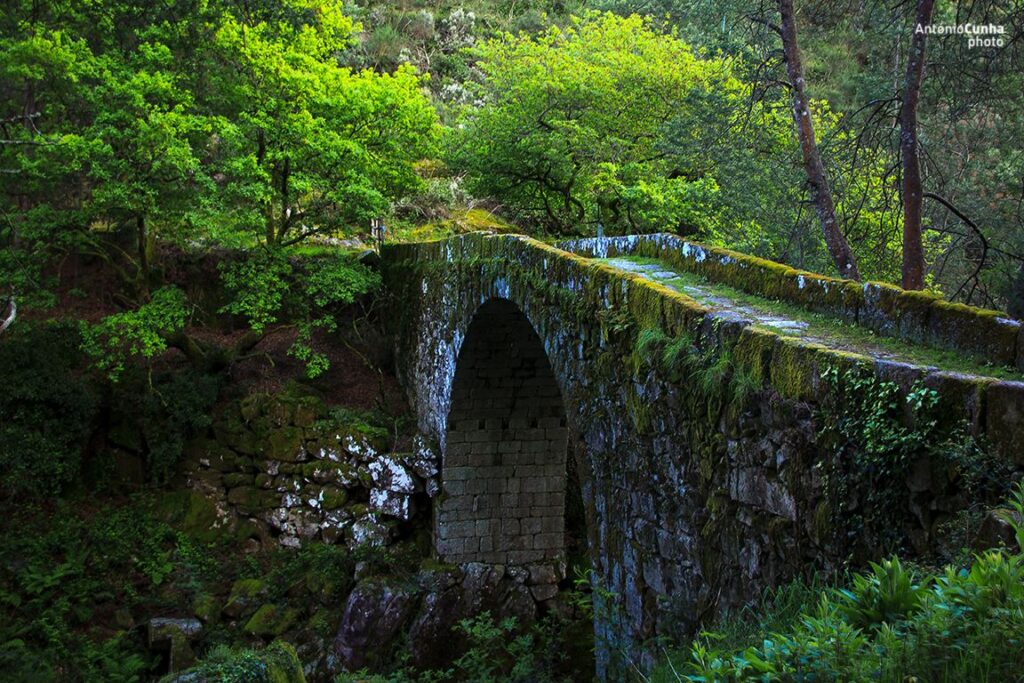 Ponte de Quintão