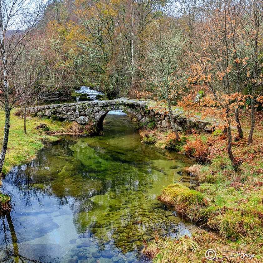 Ponte da Dorna