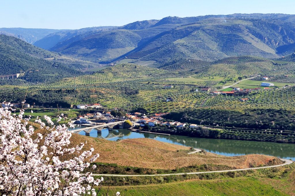 Barca d'Alva rio douro