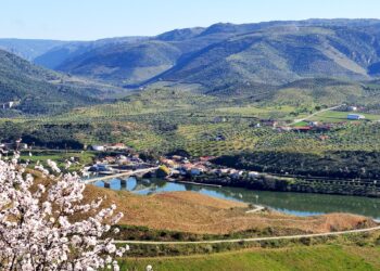 Barca d'Alva rio douro