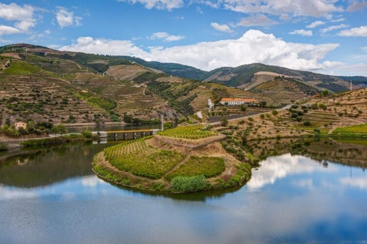 melhores quintas para visitar no Douro