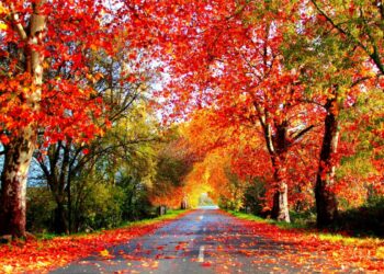 estradas mais bonitas de portugal