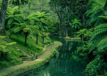 jardins mais bonitos de portugal