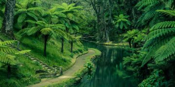 jardins mais bonitos de portugal