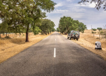 estradas mais perigosas de portugal