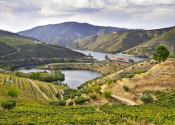 rio douro