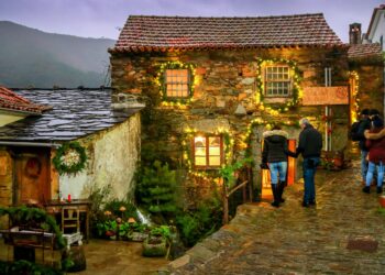 Cabeça serra da estrela