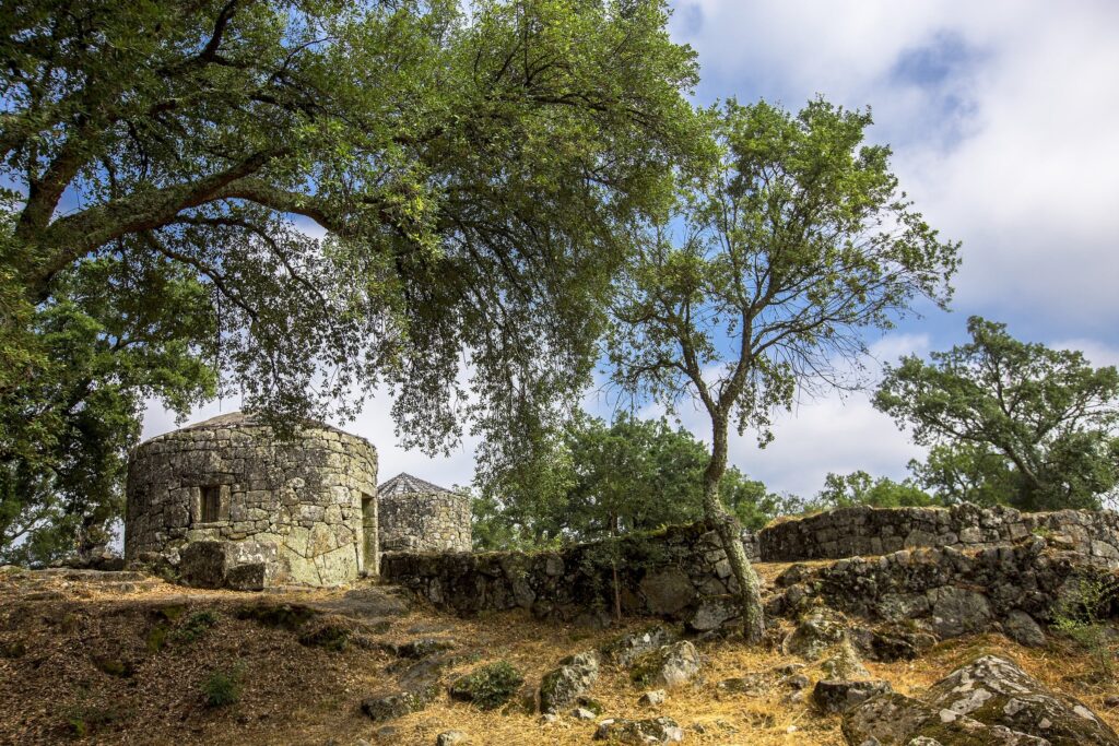 Citânia de Briteiros