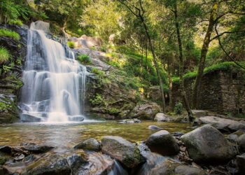 Cascatas no Centro de Portugal