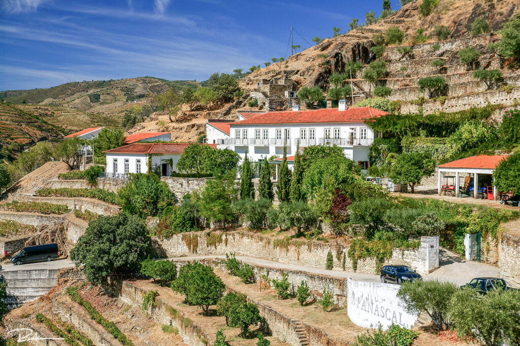 Quinta do Panascal