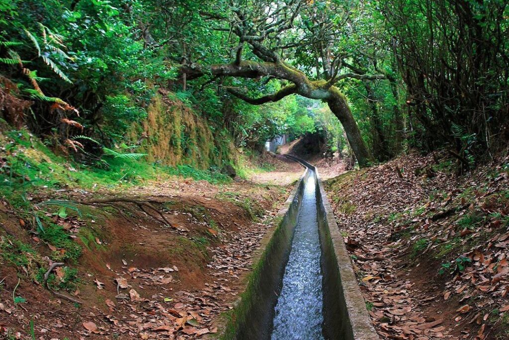 Levada do Furado