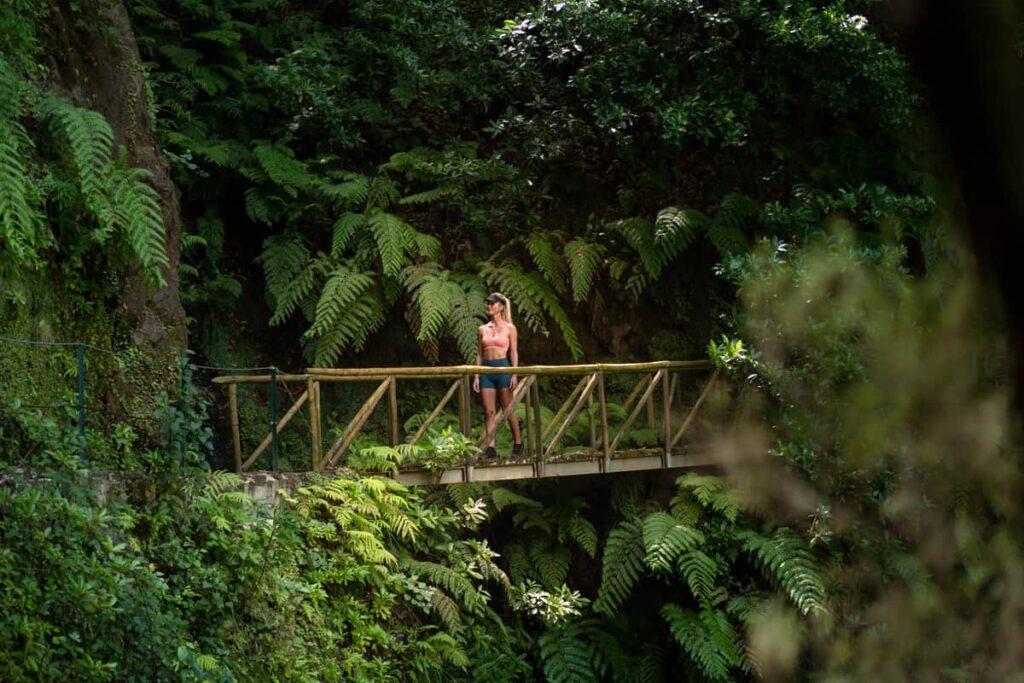 Levada dos Cedros