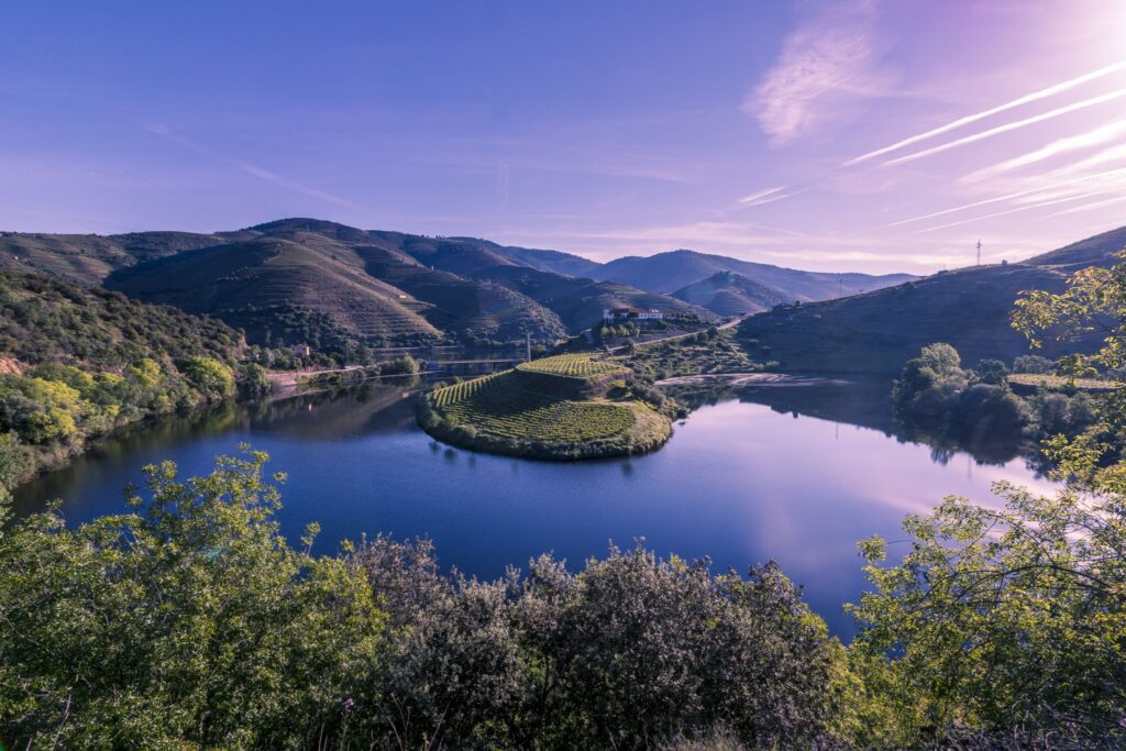 Quinta do Tedo