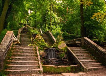 jardins centro de Portugal