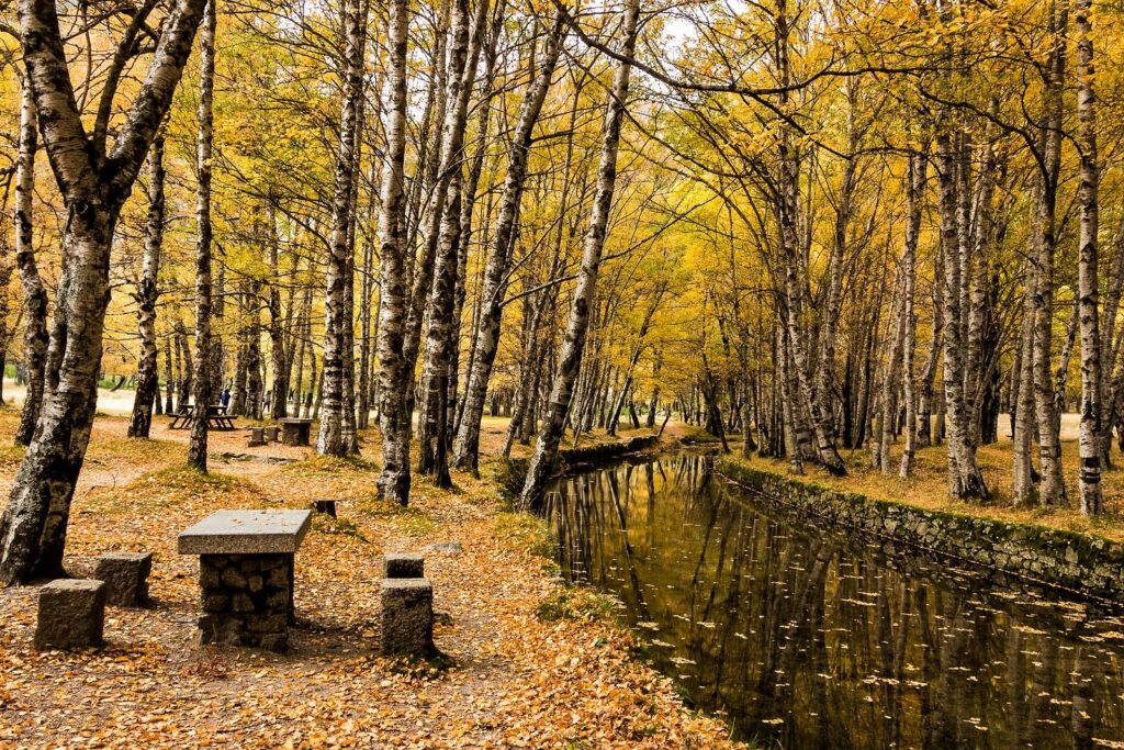 serra da estrela