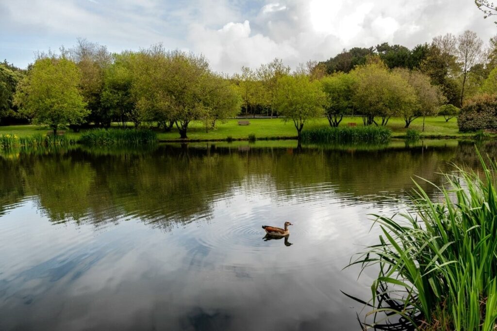 Parque da Cidade