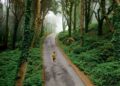 trilhos percursos pedestres sintra