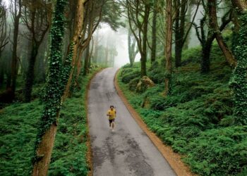 trilhos percursos pedestres sintra