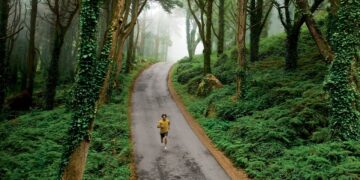 trilhos percursos pedestres sintra