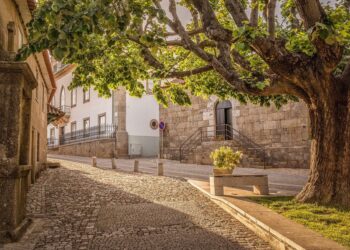 Alcaide centro de portugal