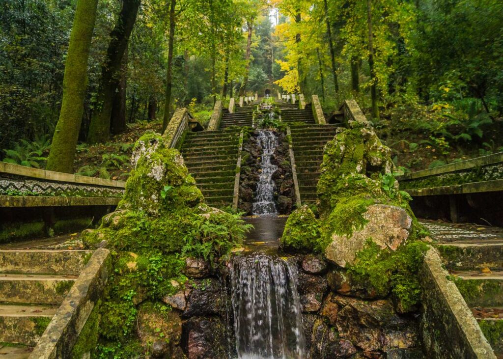 Mata Nacional do Buçaco (Buçaco)