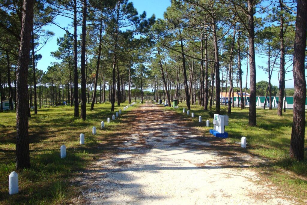 Camping Milfontes (Milfontes)