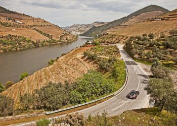 en222 douro
