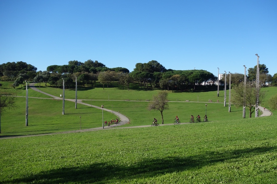 Parque da Bela Vista