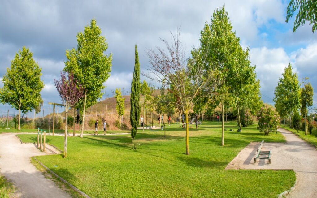 Parque das Artes e do Desporto (Amadora)