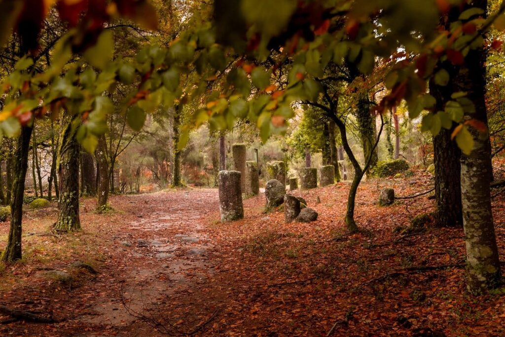 Geira Romana Gerês