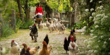 turismo rural com animais e quinta pedagógica