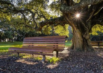 cidades mais verdes de portugal