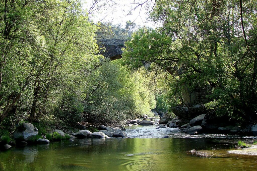 Termas de Alcafache