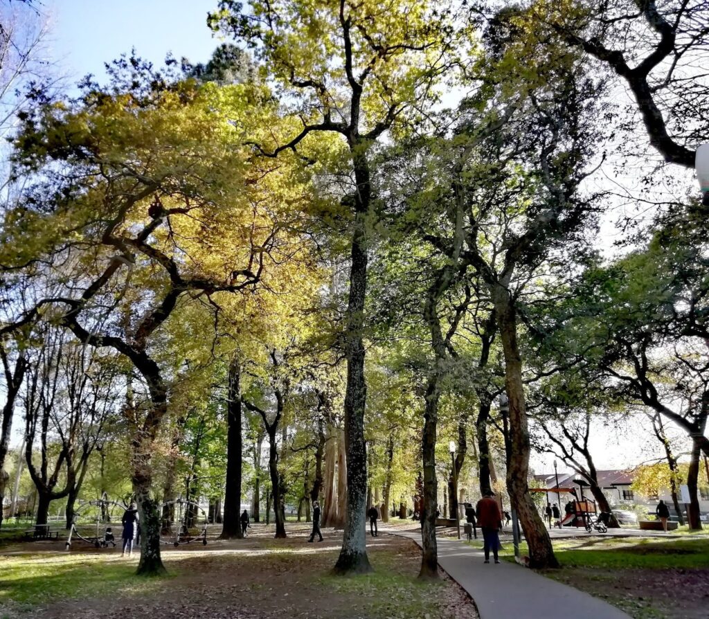 Parque do Carriçal