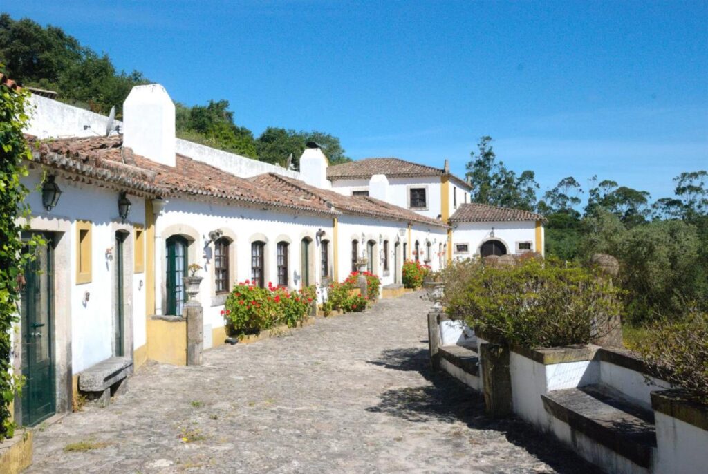 Quinta do Brejo - Turismo equestre