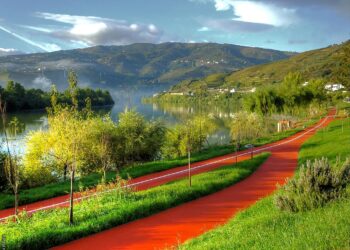 ciclovias rio Douro