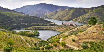 enoturismo Portugal