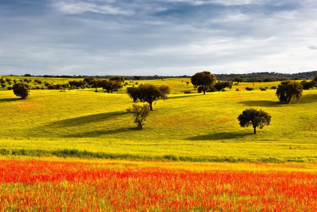 visitar Portugal na Primavera