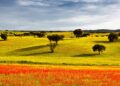 visitar Portugal na Primavera