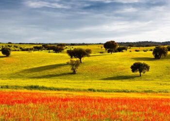 visitar Portugal na Primavera