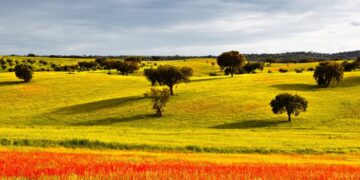 visitar Portugal na Primavera