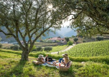 hotéis escapadinha romântica rio douro