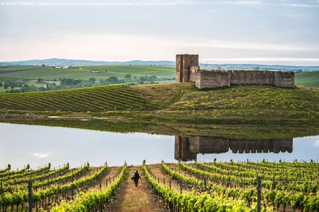 Castelo de Valongo