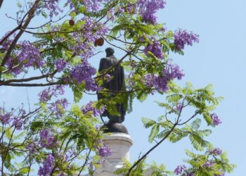 Estátua de D. Pedro IV em Lisboa