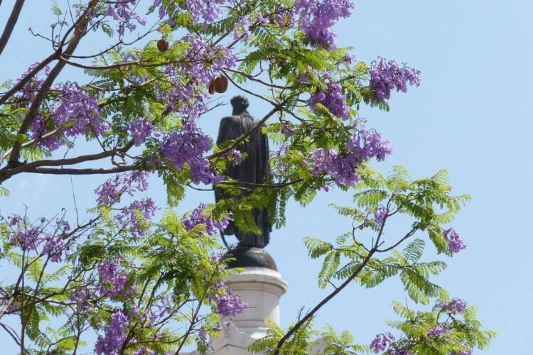 Estátua de D. Pedro IV em Lisboa