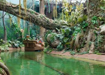 locais para visitar com crianças no Norte de Portugal