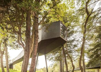 casa na árvore portugal