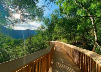 Passadiços do Mondego