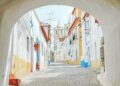 Avis Alentejo