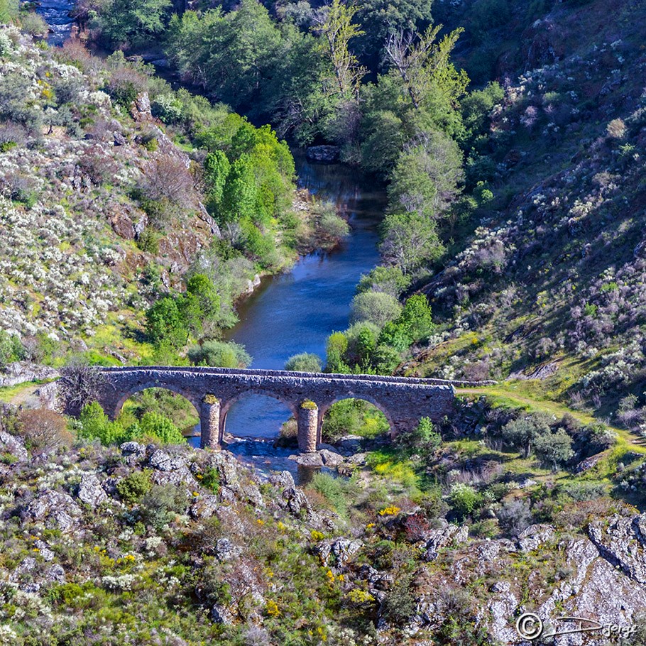 Ponte Medieval de Algoso